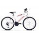 Falcon Ricardo Spor 24 Jant 21 Vites Bisiklet 