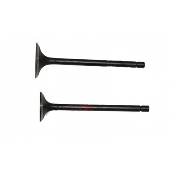 Sibob Takımı Cg 250