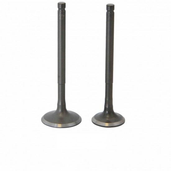 Sibob Takımı Mondial Zat 150