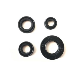 Keçe Takımı Yamaha Cyrpton