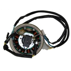 Mondial MCT 250 Alternatör Komple