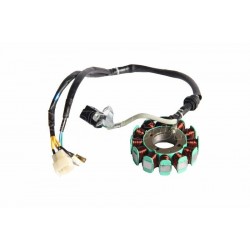 Statör Alternatör Falcon Freedom 250 Orijinal
