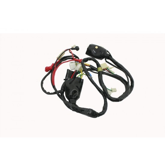Elektrik Tesisatı Komple Mondial Rr 125 - 150