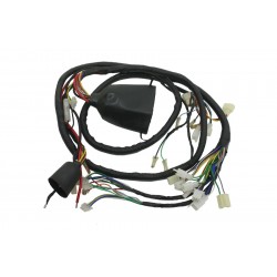 Elektrik Tesisatı E-mon Assist Ds Orijinal