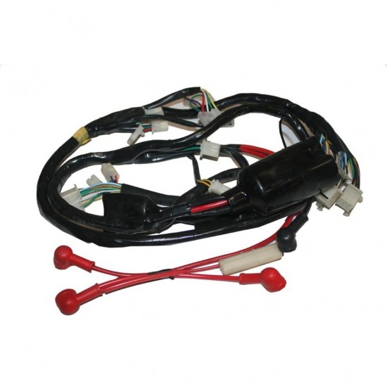 Elektrik Tesisatı Atv 150