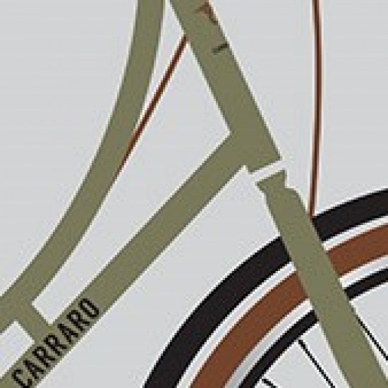 Carraro Modena 7 Vites 28 jant  Şehir Bisikleti  46 Cm