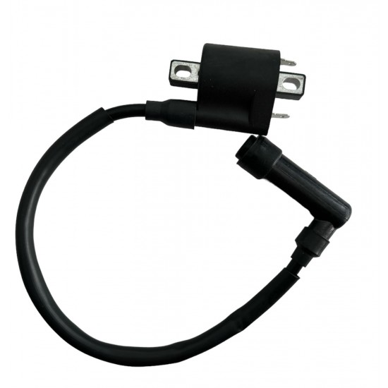 Ateşleme Bobini Mondial Ressivo 250 Orijinal