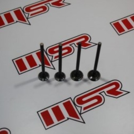 Sibob Takımı Mondial Bajaj Pulsar Ns 200