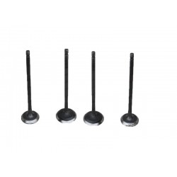 Sibob Takımı Mondial Rx3i Evo 250