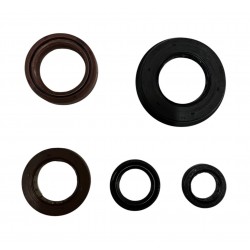 Tvs Ntorq 125 Keçe Seti