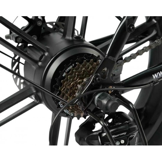 Arora Belgrad 249kw Elektrikli Bisiklet