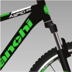 Bianchi Aspid 26 26 Jant 21 Vites Dağ Bisikleti Mat Siyah - Yeşil 43 Cm